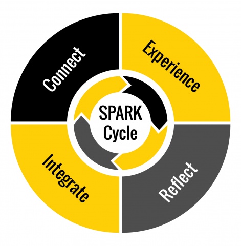 SPARK Cycle–Experience, Reflect, Integrate, Connect
