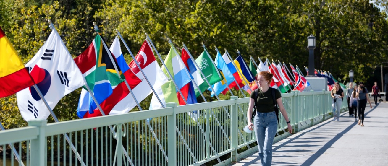 IMU footbridge scene with flags and students walking