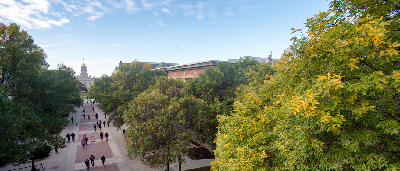 aerial view of a campus with blue skies and green trees with yellow leaves