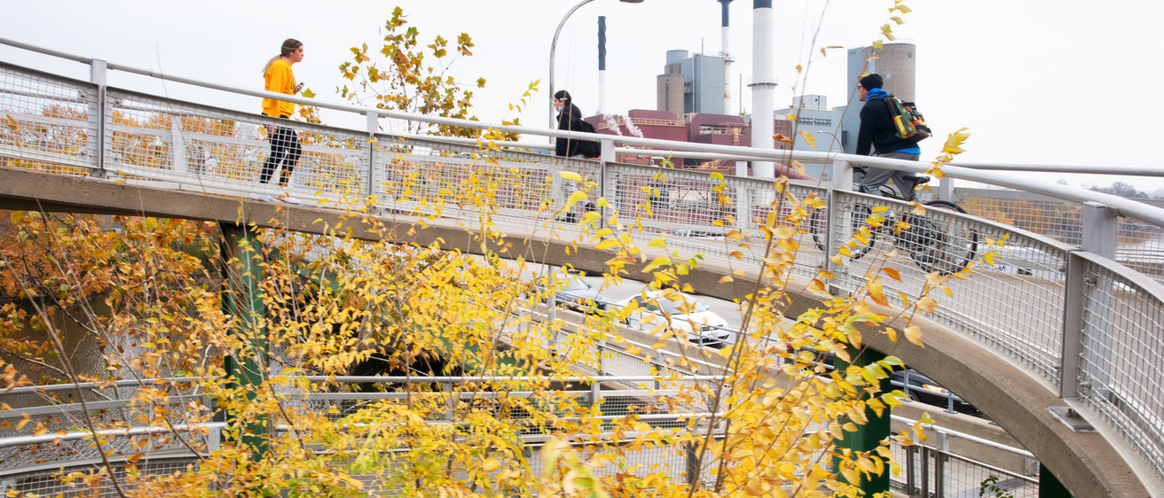 Students walking to class on the walk bridge with yellow foliage