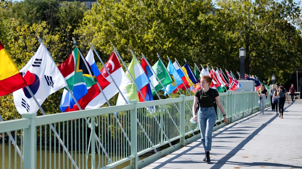IMU footbridge scene with flags and students walking